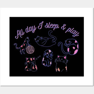 All day I sleep & play Posters and Art